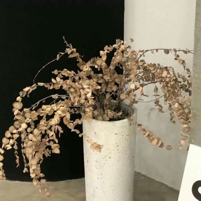 浦东新FurryQQ群介绍